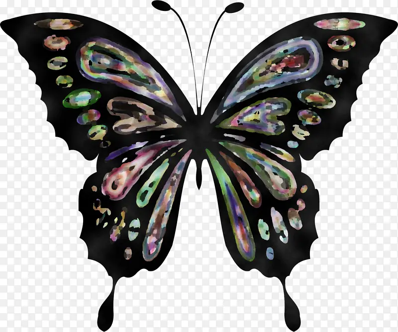 �ɶ�ͺ��� ���� ����-������