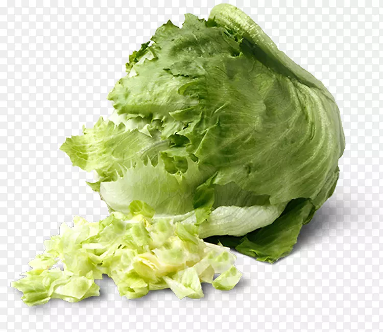 ��������Ҷ�߲�ʳƷ����-������