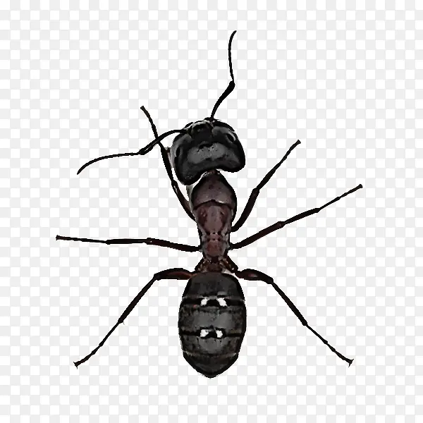 ���� ���� ľ����-������