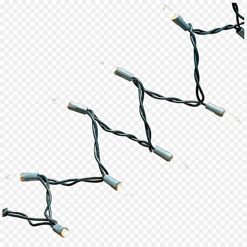 ��֦ ϸ֦ ֲ��-������