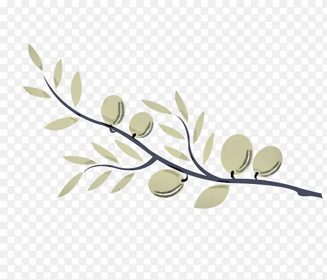 ��֦ Ҷ�� ��֦-������