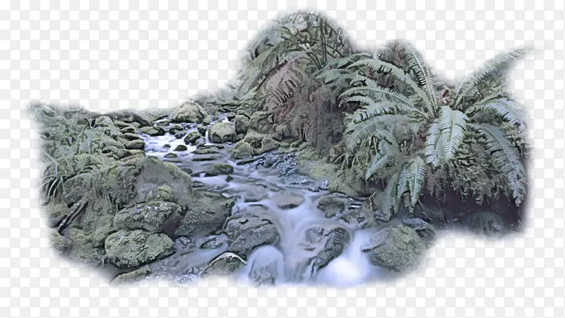 �� ��ʯ ֲ��-������