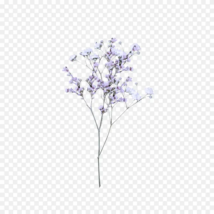 �� ���� ��֦-������