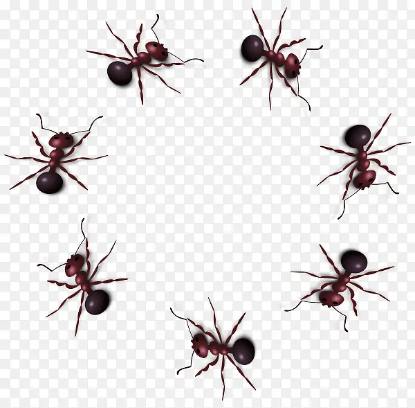 ���� ���� ľ����-������