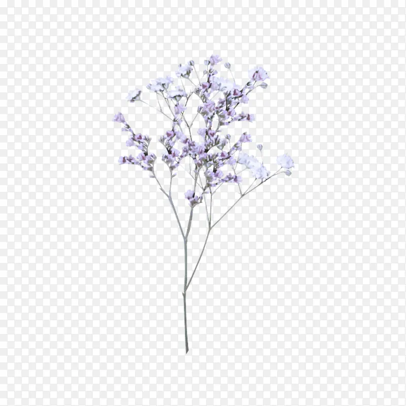 �� ���� ��֦-������