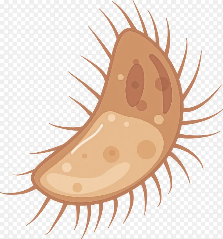 ���� ��ͨ ˮ�ʻ�-������