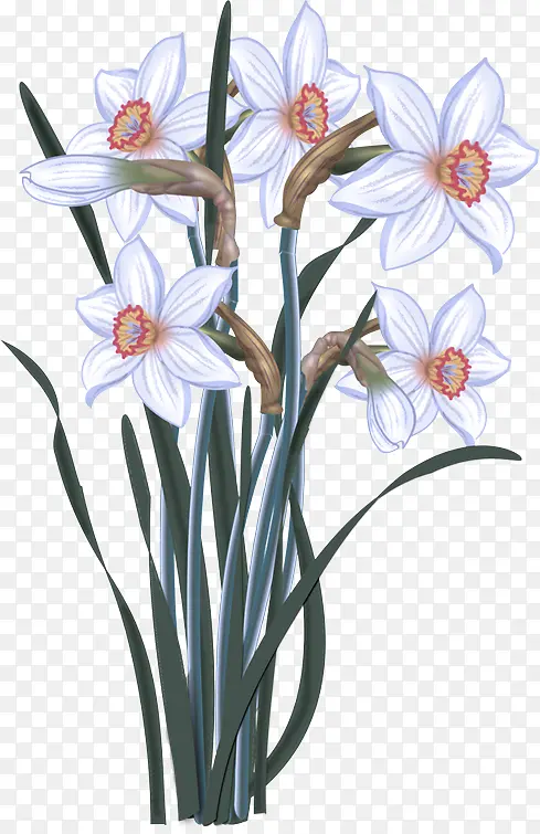 ˮ�ʻ� ˮ�ɻ� �滭-������