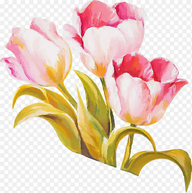 ������ ˮ�ʻ� ����-������