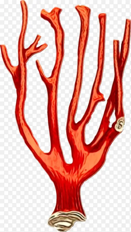 ˮ�ʻ� ���� ʪī-������