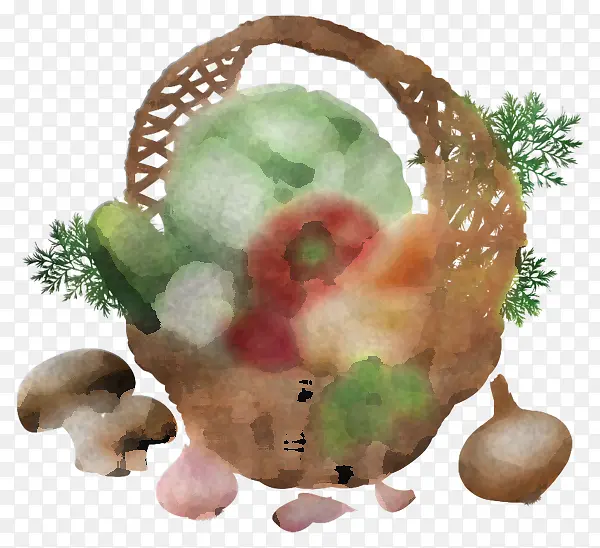 �ɹ���Ʒ�߲� ��ʳ���� ˮ��-������