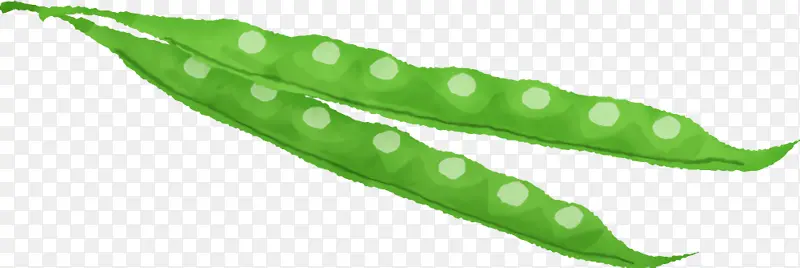 ֲ�ﾥ Ҷ �߲�-������