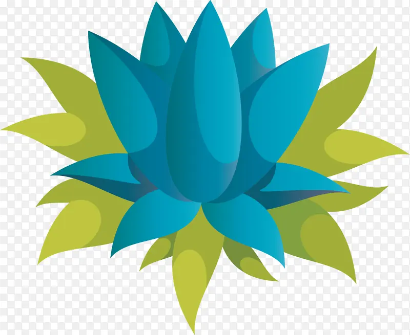 Ҷ �Գ� �����-������