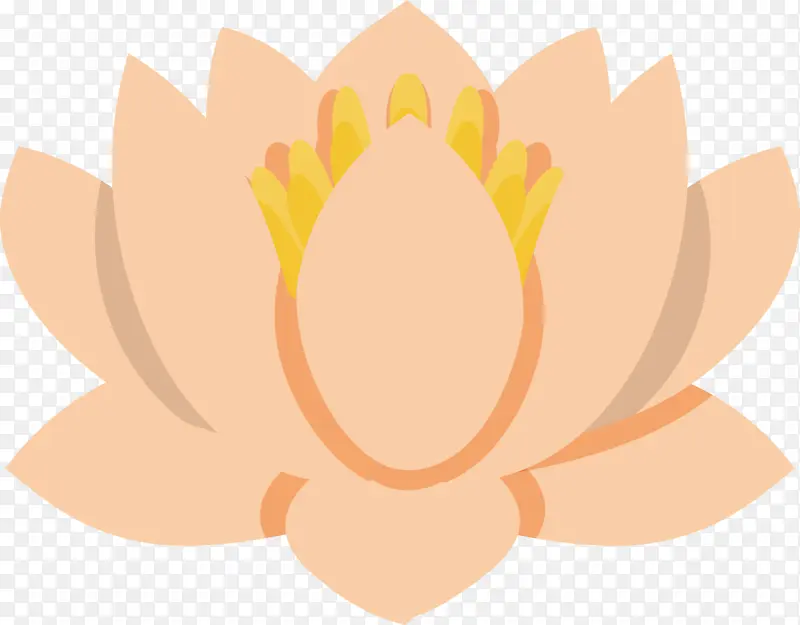 ���� ��ɫ ��-������