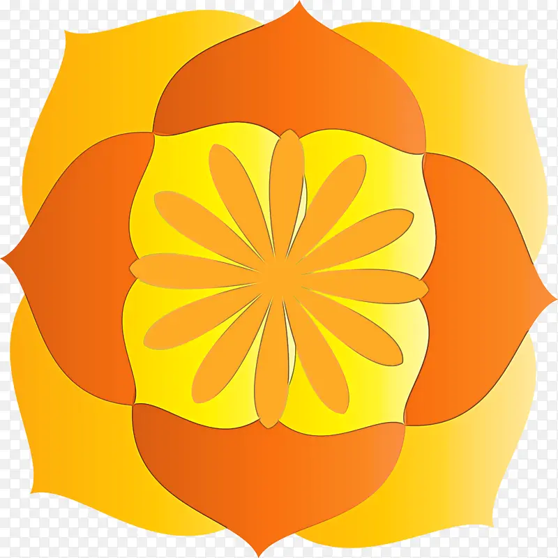 ���� �Գ� ��-������