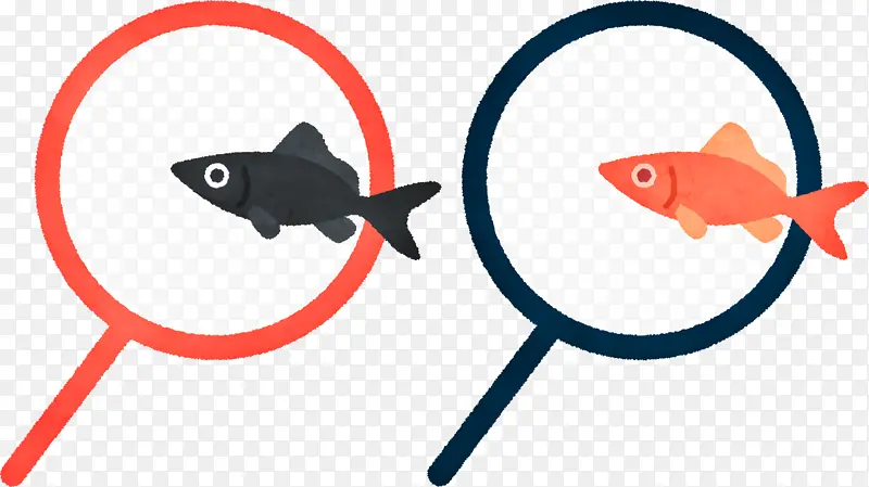 �� �� ����ѧ-������