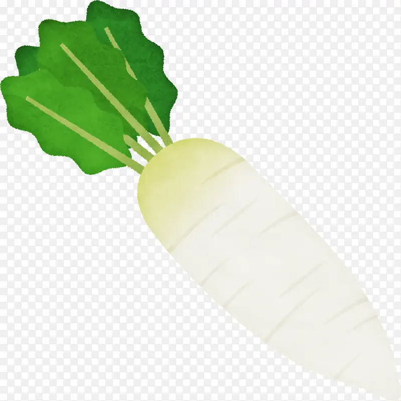 Ҷ �߲� ֲ��ṹ-������