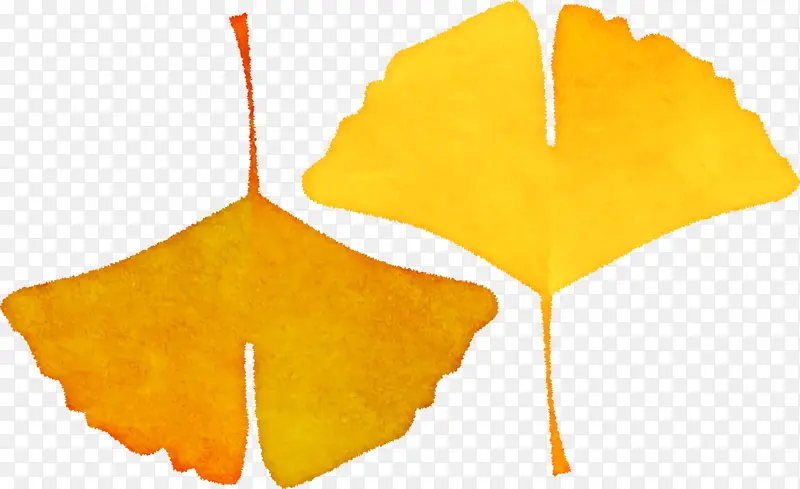 Ҷ�� ��ɫ ֲ��ṹ-������