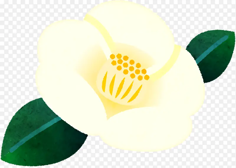 ��ɫ ���� ˮ��-������