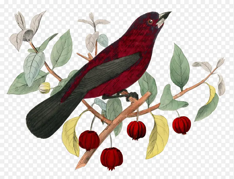 �滭 ���� �ʼ�����-������