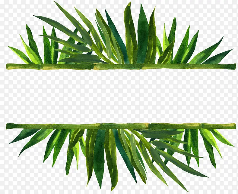 ���ǿ� ˮ�ʻ� �ͻ�-������