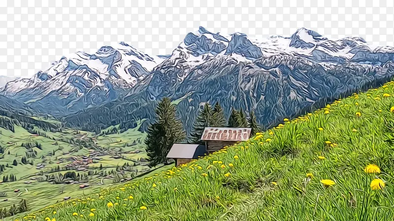 ˮ�ʻ� ���� ʪī-������