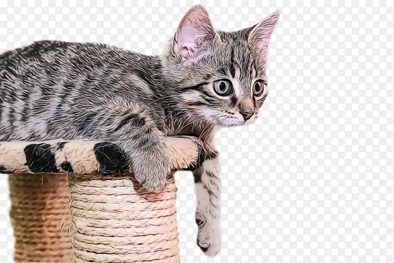 ˮ�ʻ� ���� ʪīˮ-������