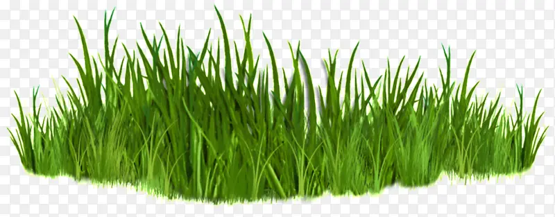 ��ƺ ��Ӱ ����-������