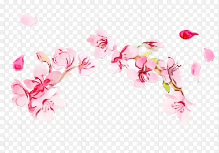 ˮ�ʻ� ���� ʪī-������