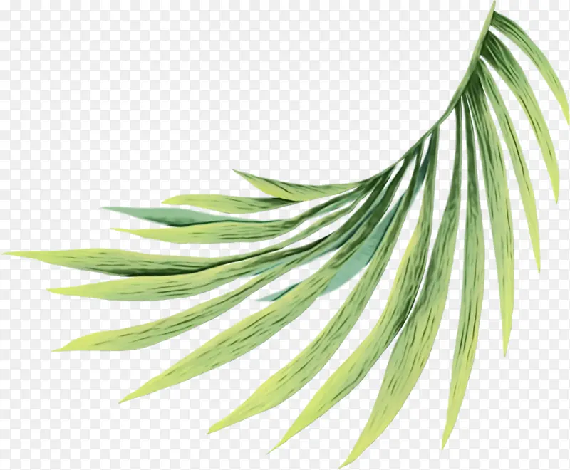 ˮ�ʻ� ���� ʪī-������