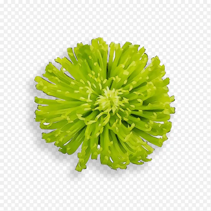 ˮ�� ���� ʪī-������