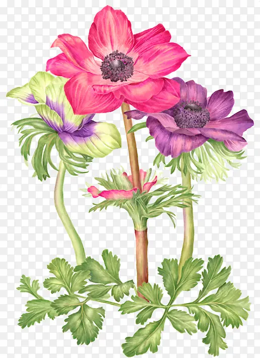 ������� ˮ�ʻ� �滭-������