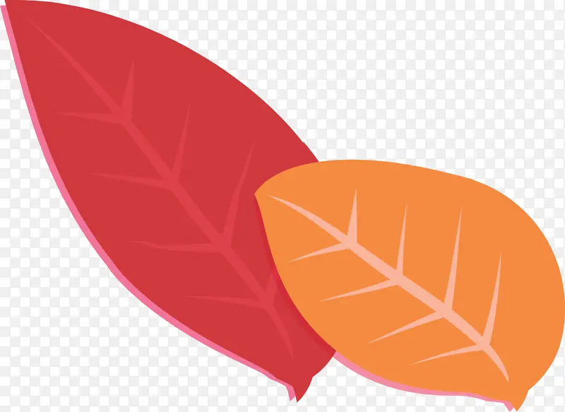 Ҷ ��ʵ ֲ��ṹ-������