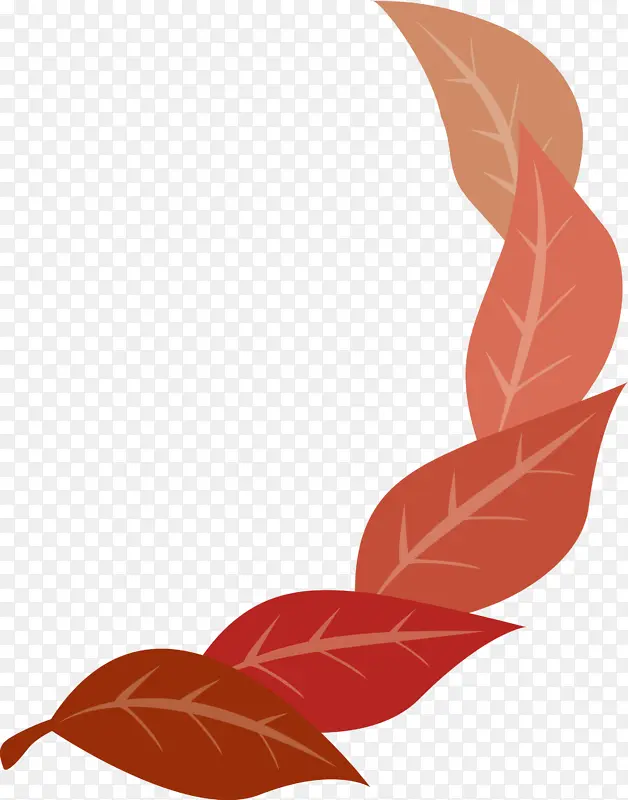 Ҷ ֲ��ṹ ��ѧ-������