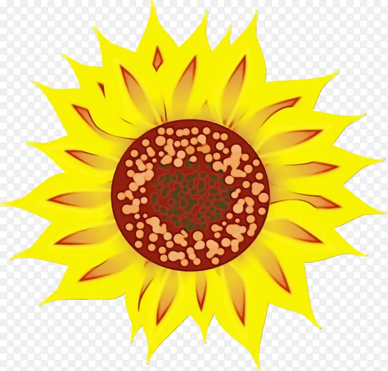 ˮ�ʻ� ���� ʪī-������