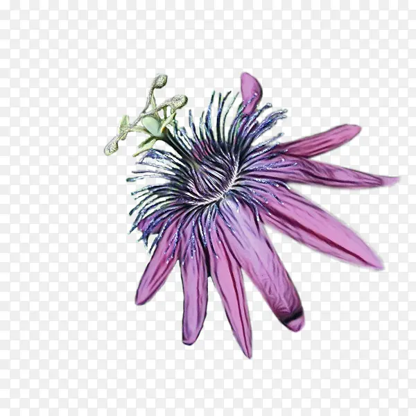 ˮ�� ���� ʪī-������