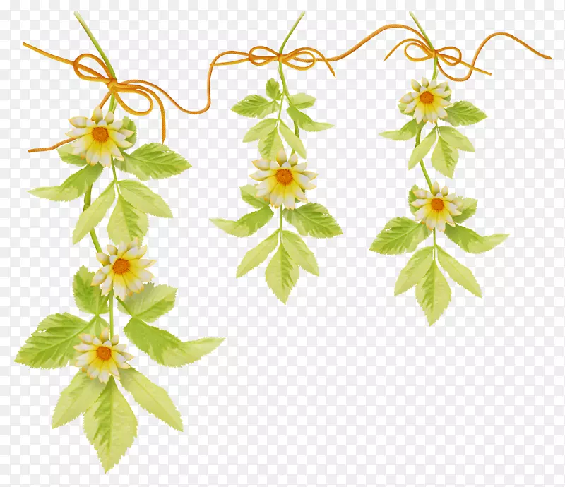 ���������ֽ������.����-������