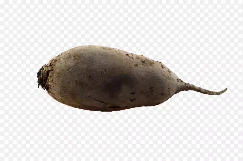 ��˸��߲�ʳƷ-�����ͷ-������