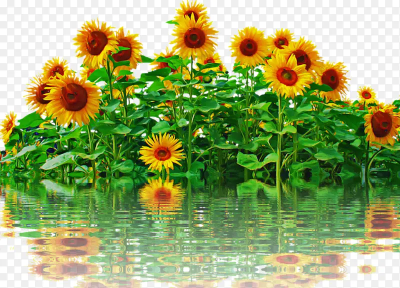 ���� ��ͨ���տ� ����-������