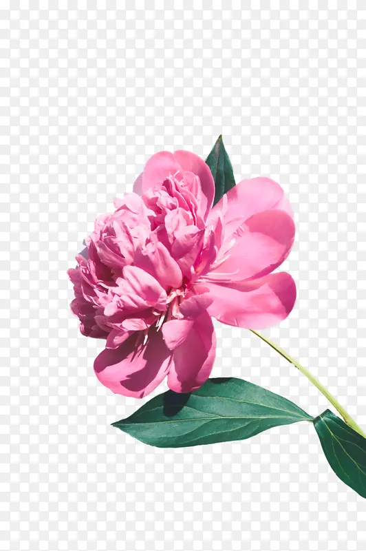 ���� ���� �ж�-������