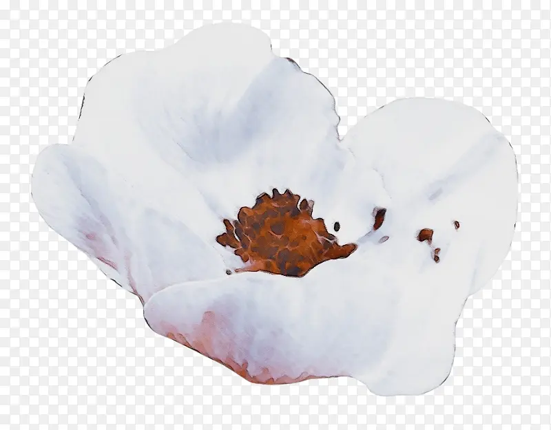 ˮ�� ���� ʪīˮ-������