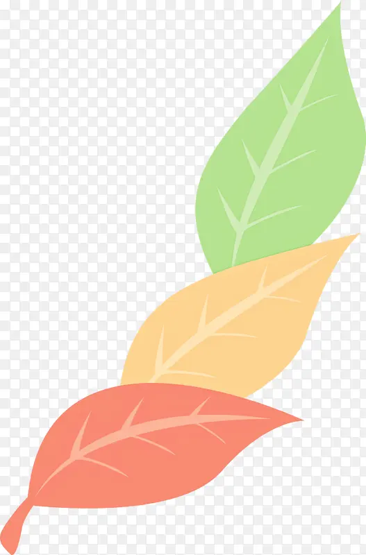 Ҷ �� ֲ��-������