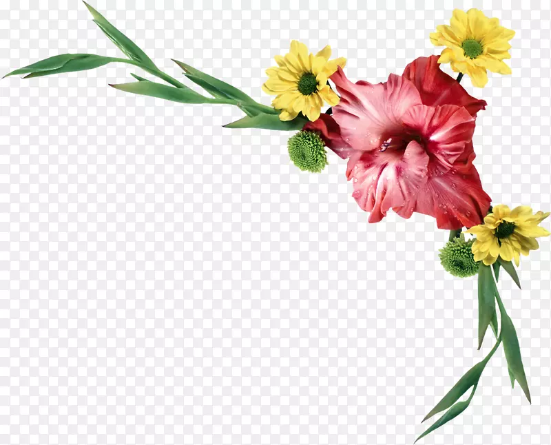 ˮ�ʻ�����ˮ�ʻ�-������