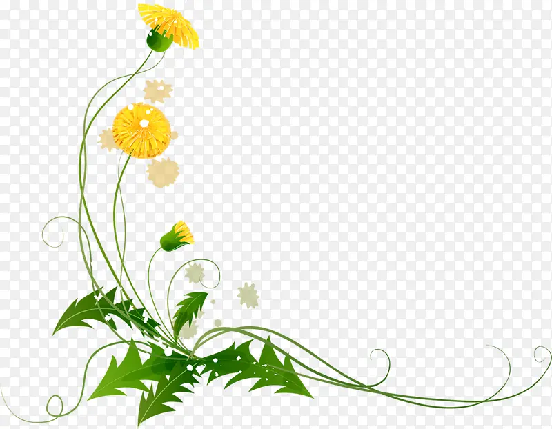 �ѹ�Ӣ ���� ��ͨ�ѹ�Ӣ-������