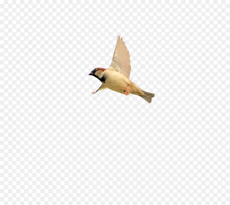 � �� ˮ��-������