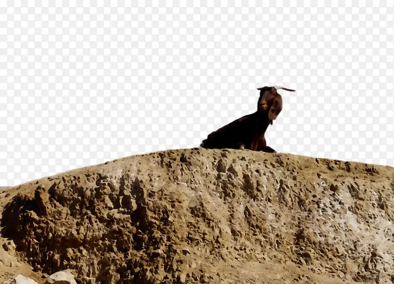 ˮ�� ���� ʪīˮ-������