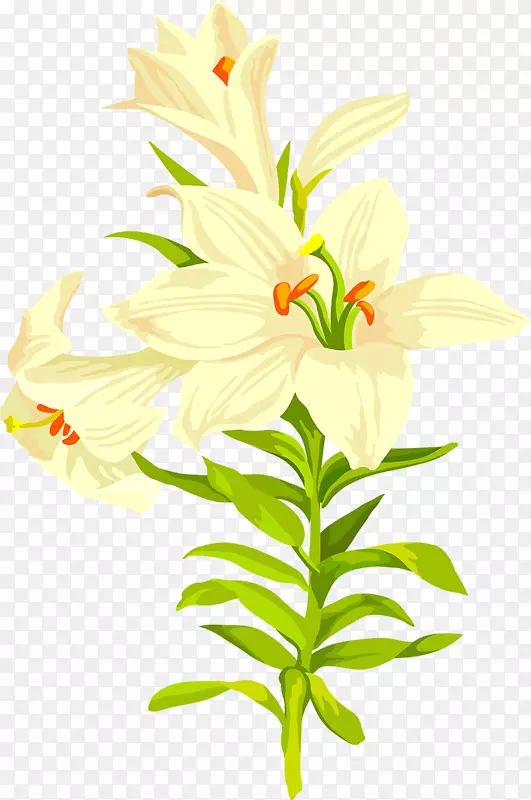 �ٺϻ�-������