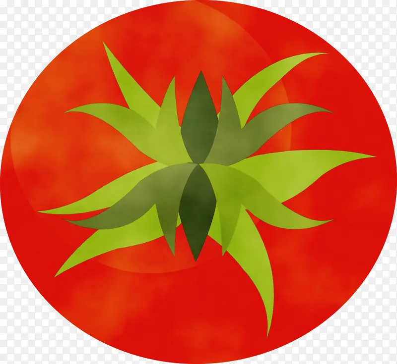 �������� ˮ�ʻ� ����-������