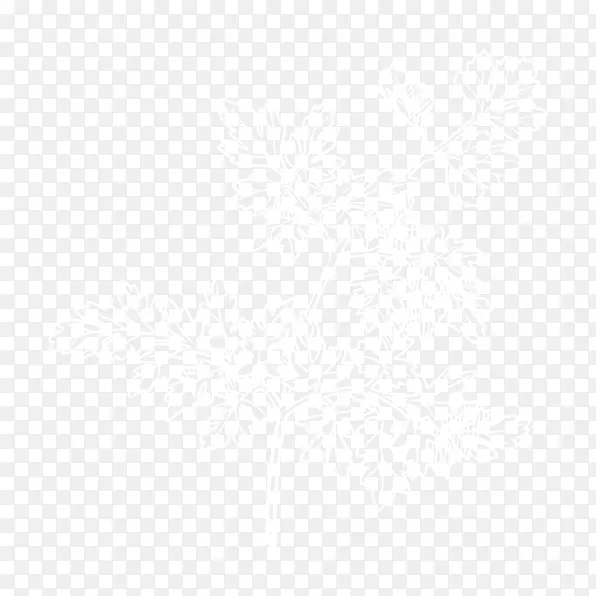 �Ĵ��������ȴ�ֲ�﷢ѿ����-ŷ��-������