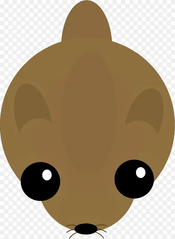 ���� è ����-������