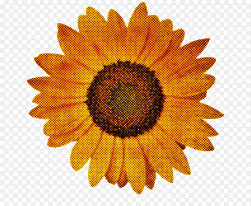 �������� ��ͨ ��־-������